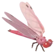 Libélula Rosada