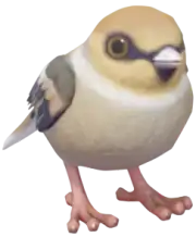 Picogordo Común