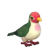 Tilopo Jambú