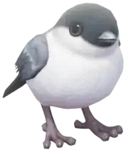 Camachuelo de las Azores