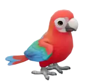 Guacamayo Rojo