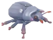 Escarabajo Pelotero Tifi