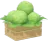 Lechuga