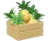 Piña