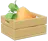 Zanahoria