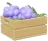 Uva