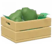 Aguacate