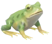 Rana europea