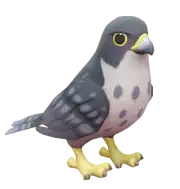 Halcón peregrino