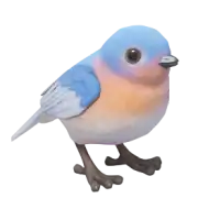 Pájaro azul del este