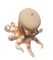 Pulpo pigmeo con sombrero de director marrón