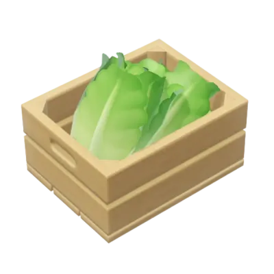 Lechuga Romana