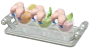 Plato frío de cigalas azules
