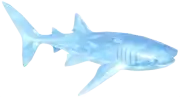 Tiburón Ballena de Cristal Nevado