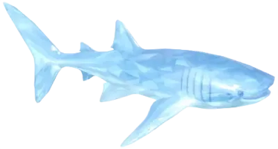 Tiburón Ballena de Cristal Nevado