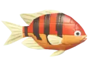 Pez payaso de bloques rojo