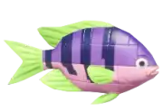 Pez payaso de bloques morado