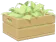 Hierba Luisa