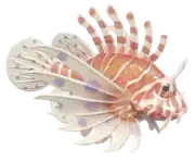 Pez León