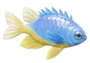 Pez Damisela Azul