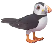 Frailecillo ártico