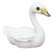 Cisne Grande