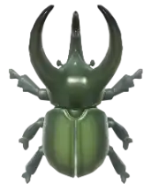 Escarabajo Atlas