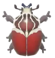 Escarabajo Goliat