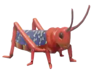Langosta del algodoncillo