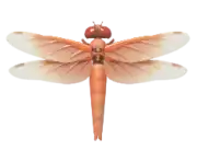 Libélula de fuego