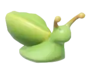 Caracol verde