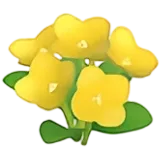 1⭐